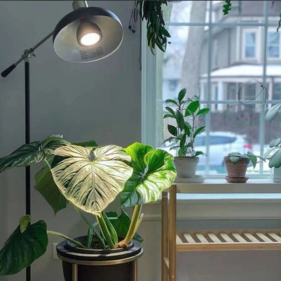 Светодиодные растения растения освещение 20W LEDPAR30 с 85V-265V Входное напряжение и другие типы базы